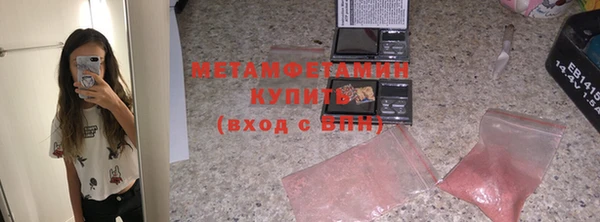 сатива Ельня