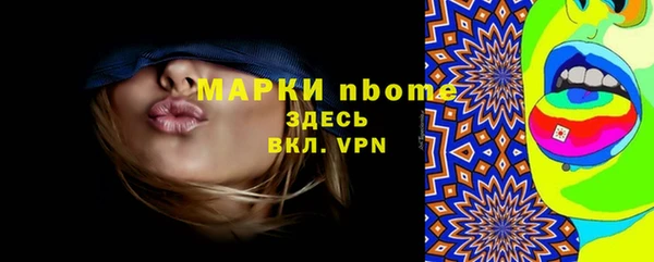 сатива Ельня