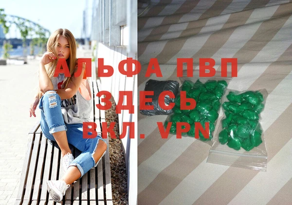 сатива Ельня