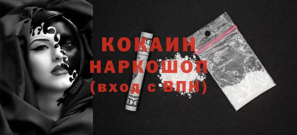 сатива Ельня