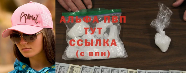 сатива Ельня