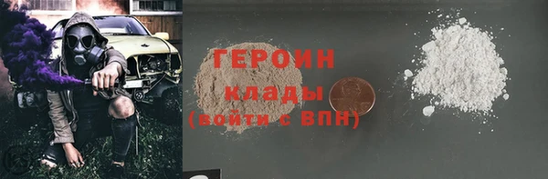 сатива Ельня