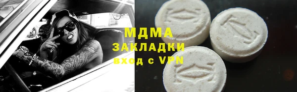 сатива Ельня
