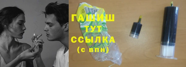 сатива Ельня
