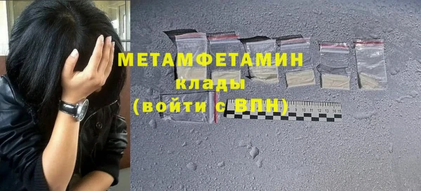 сатива Ельня