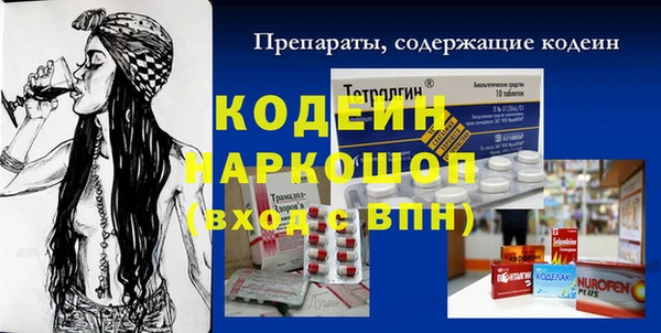сатива Ельня