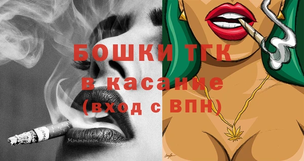 сатива Ельня