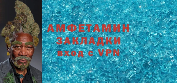сатива Ельня
