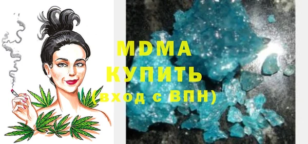 сатива Ельня