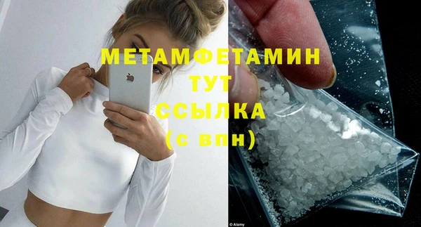 сатива Ельня