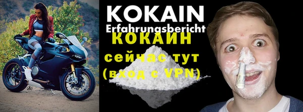 сатива Ельня