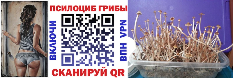 Псилоцибиновые грибы прущие грибы  Ирбит 