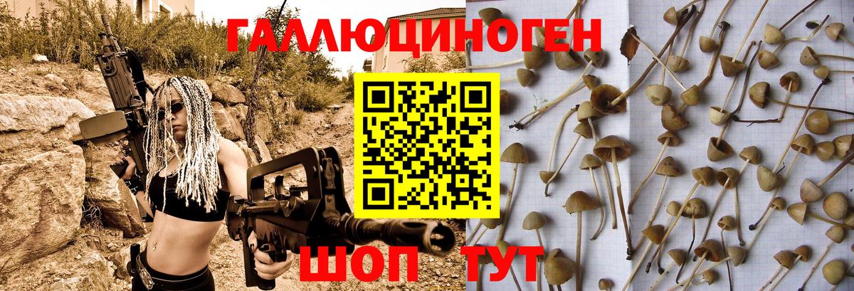 Галлюциногенные грибы мухоморы Ирбит
