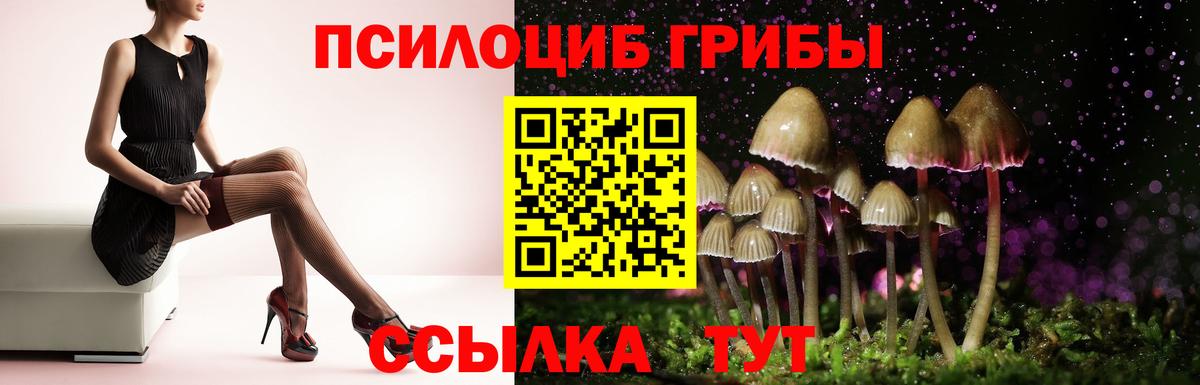 Ирбит  Псилоцибиновые грибы MAGIC MUSHROOMS  Галлюциногенные грибы GOLDEN TEACHER  Вход с VPN 